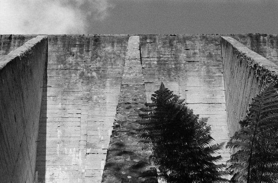 Mount Paris Dam, concrete with ferns. Jade Austen. Tmax p3200