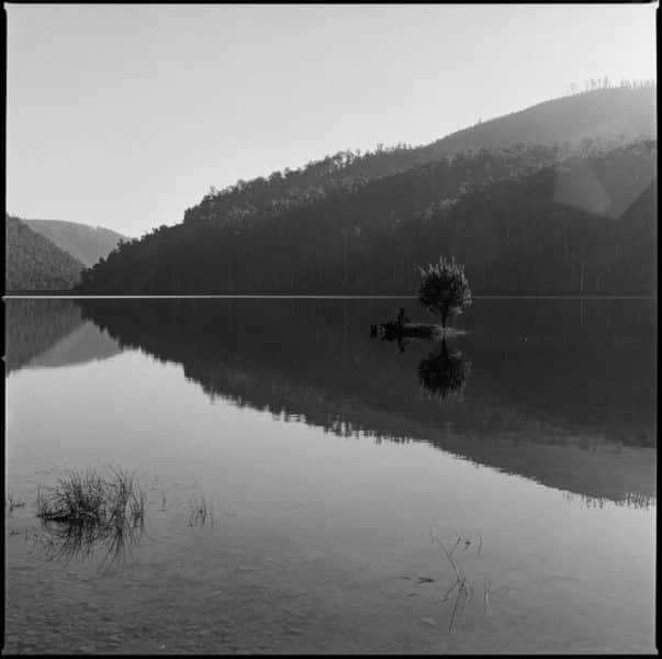 Morning sunlight on Lake Parangana, Mersey Forest Tasmania. Captured on Tri-x film by Jade Austen.