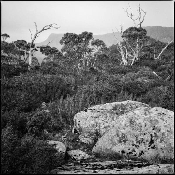 Mount Ironstone viewed from the top of Syds Track on Ilford Delta 100 film